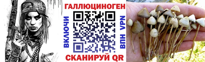 Псилоцибиновые грибы мухоморы  Купить  Георгиевск 