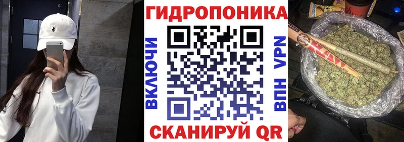 Купить закладки  Георгиевск  Шишки марихуана марихуана 
